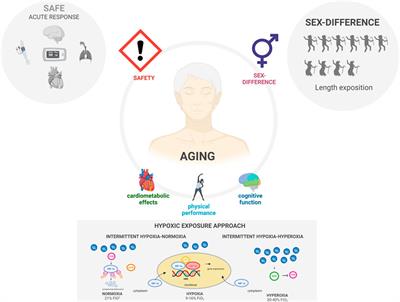 Editorial: Hypoxia as a therapeutic tool in search of healthy aging